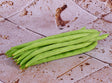 Haricot Vert Bio