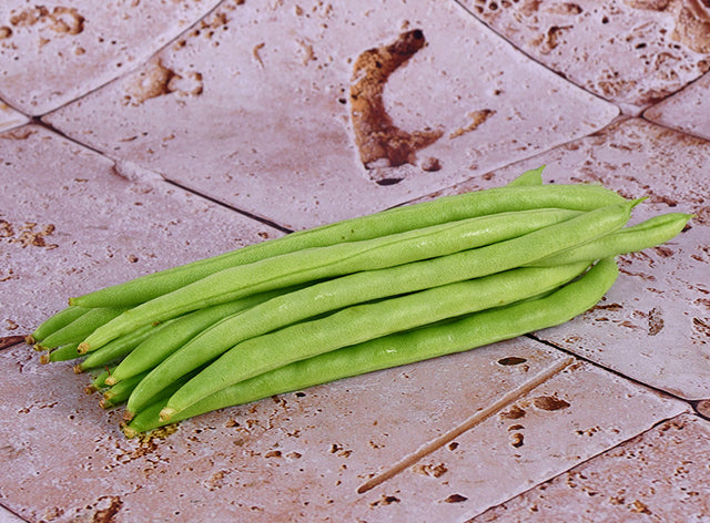 Haricot Vert Bio
