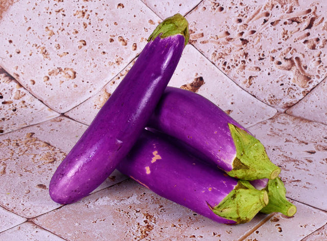 Aubergine Longue Bio