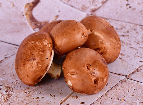 Champignon De Paris Brun Bio
