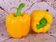 Poivron Jaune Bio