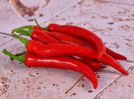 Piment Rouge Bio