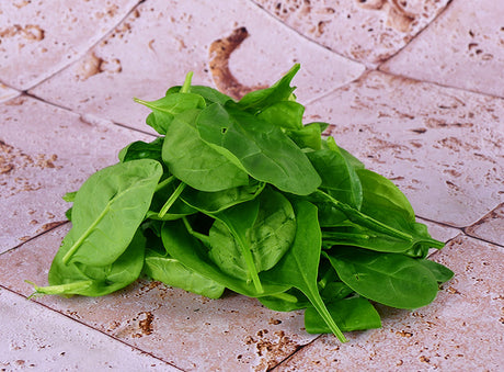 Epinards Jeunes Pousses A Salade Bio