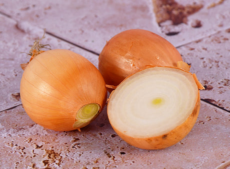 Oignon Jaune Bio