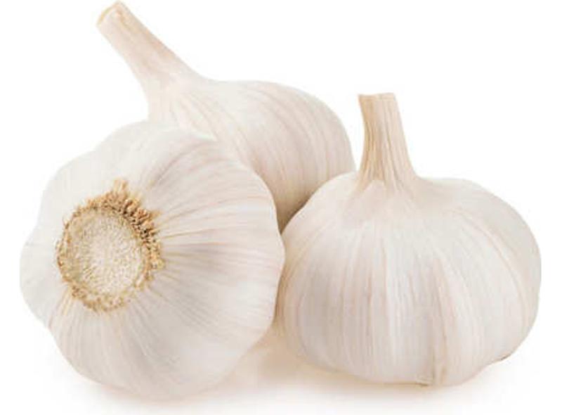 Ail Blanc En Gousse Bio