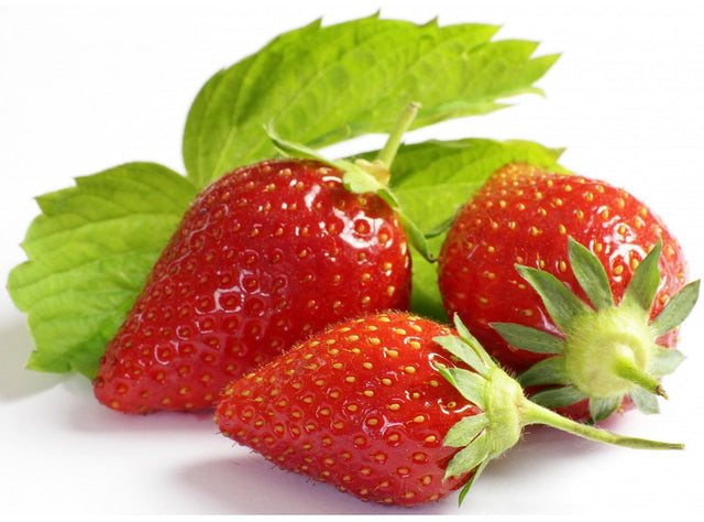 Fraises Bio