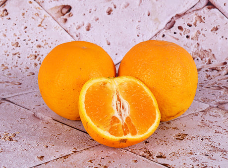 Orange Valencia Bio