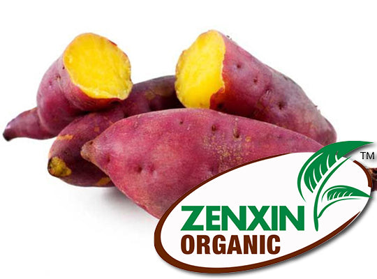 Patate Douce Violette Japonaise Bio