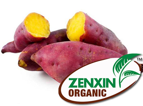 Patate Douce Violette Japonaise Bio