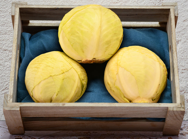 Chou Vert Lisse Bio Sachet Vrac