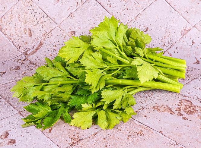 Celeri Branche Bio Sachet Vrac