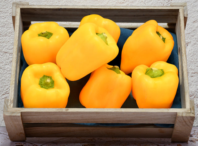 Poivron Jaune Bio Sachet Vrac