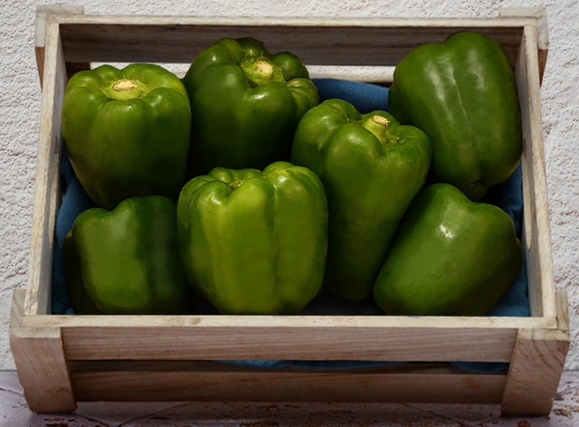 Poivron Vert Bio Sachet Vrac