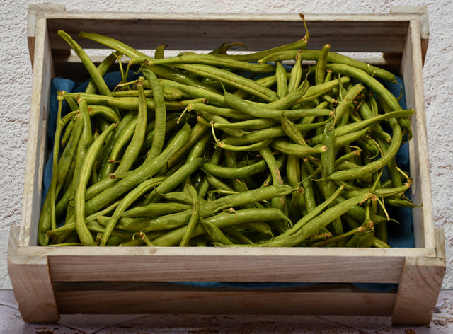 Haricots Verts Bio Sachet Vrac