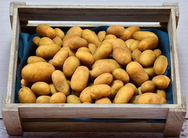 Pomme De Terre Nouvelle Nicola Bio Sachet Vrac