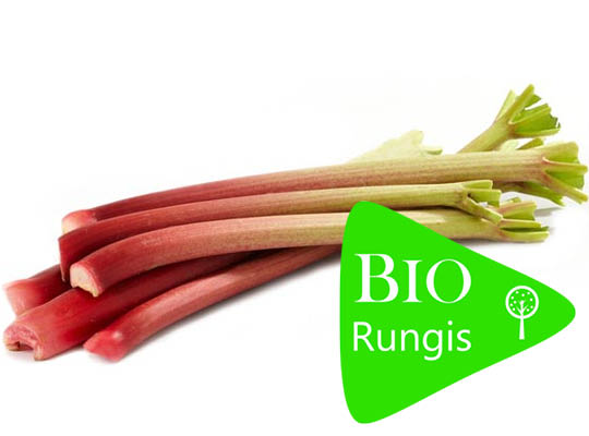 Rhubarbe Bio Sachet Vrac