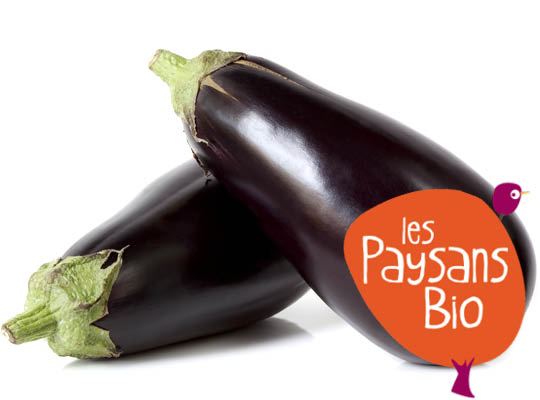 Aubergine Ovale Violette Bio Sachet Vrac