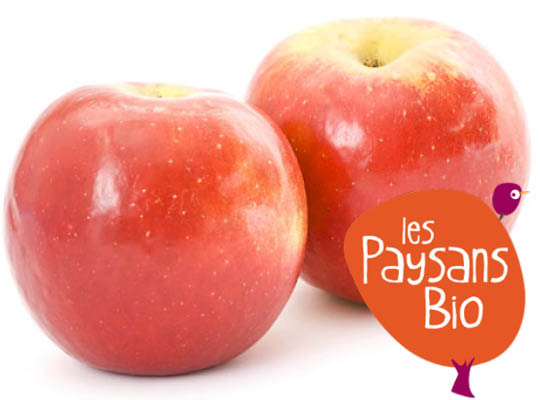 Pomme Bicolore Royal Gala Bio Sachet Vrac