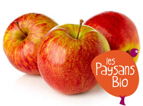 Pomme Bicolore Elstar Bio Sachet Vrac