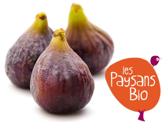 Figue Violette Dauphine Bio Sachet Vrac