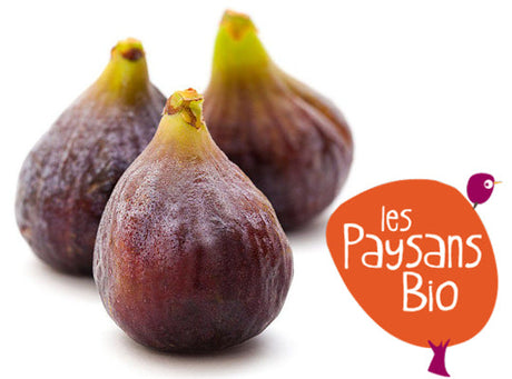 Figue Violette Dauphine Bio Sachet Vrac