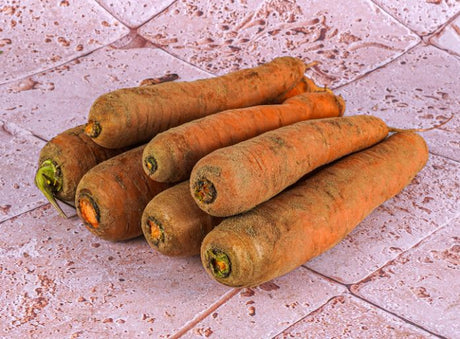 Carottes Des Sables Bio Sachet Vrac