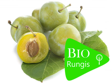 Prune Bavay Reine-Claude Bio Sachet Vrac