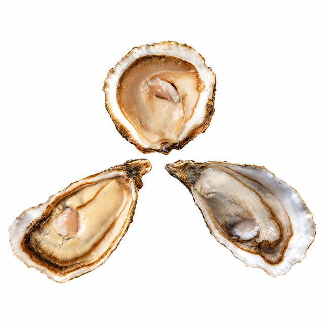 SAINT KERBER TRIO OYSTERS 12PC (#122586)