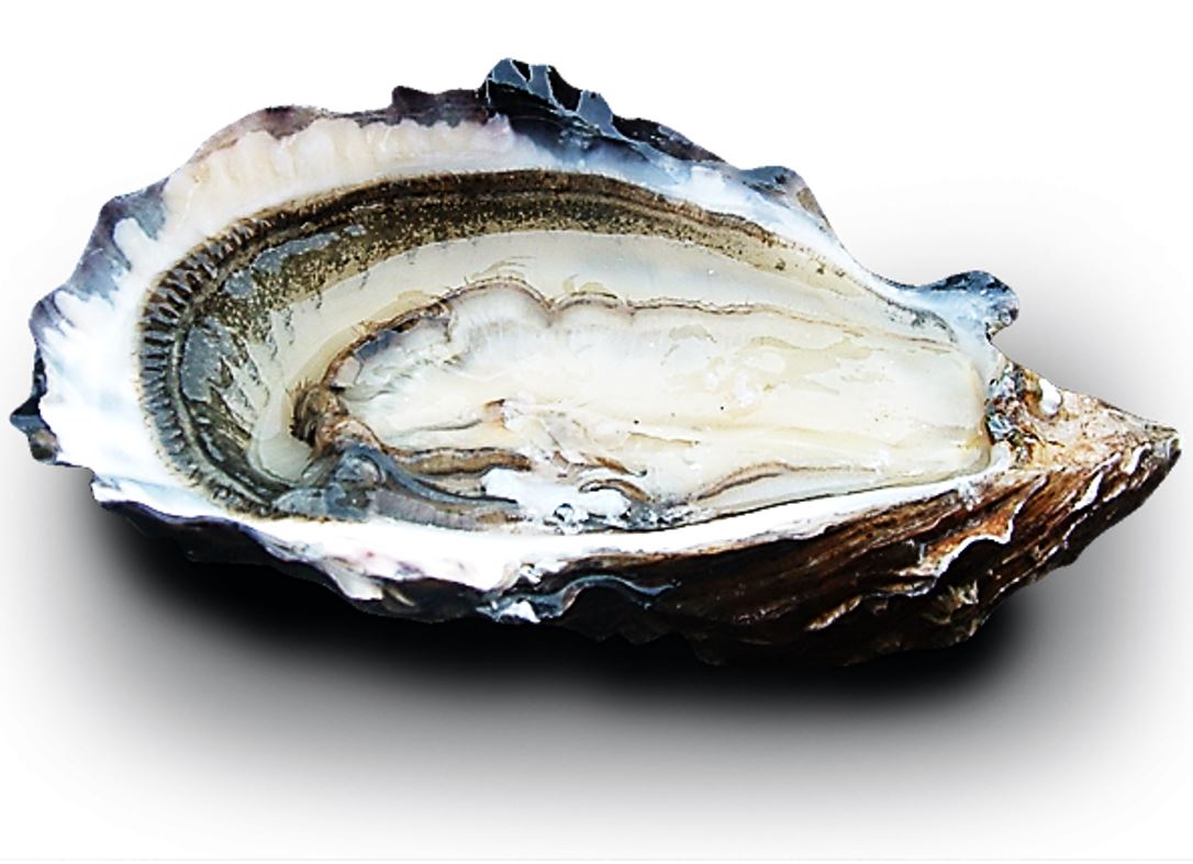 Huitres speciales de Cancale No3