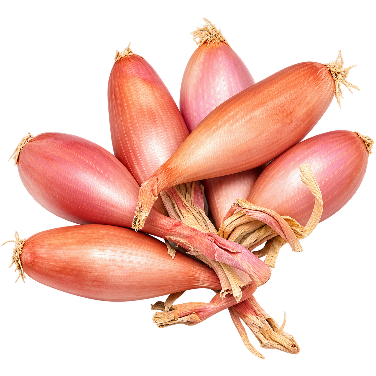 ORGANIC SHALLOT 0.25KG+/- (#123712)