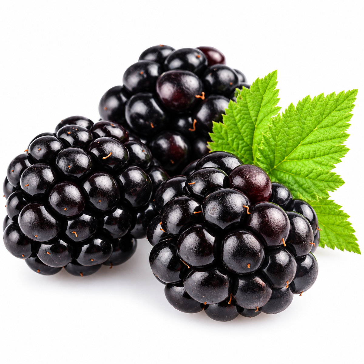 ORGANIC BLACKBERRIES 0.125KG (#121164)