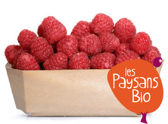 Les Paysans Bio Framboises fraîches BIO Barquette -125g