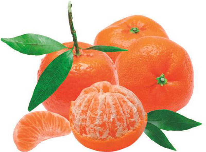 Les Paysans Bio Mandarine Clémenvilla Demeter BIO  Sachet vrac -500g